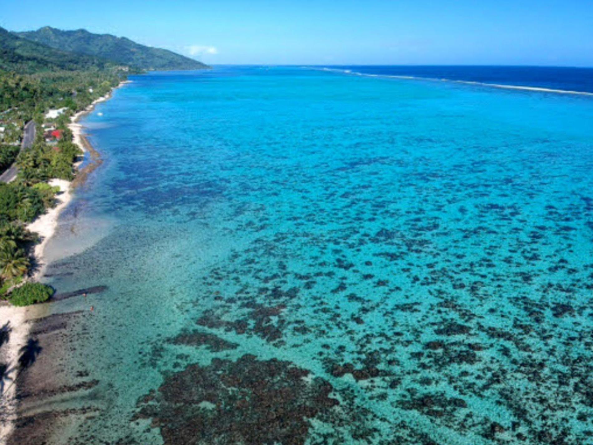 Moorea - Fare Taina Iti Haapiti ภายนอก รูปภาพ